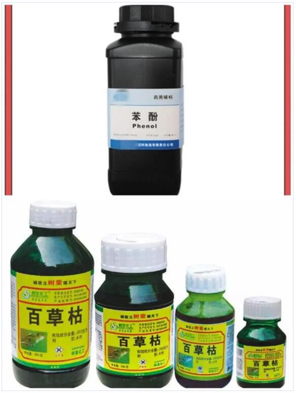 <a href='http://www.aqrcom.com' title='國際貨運代理' >國際貨運代理</a>